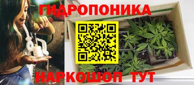 стафф Конаково