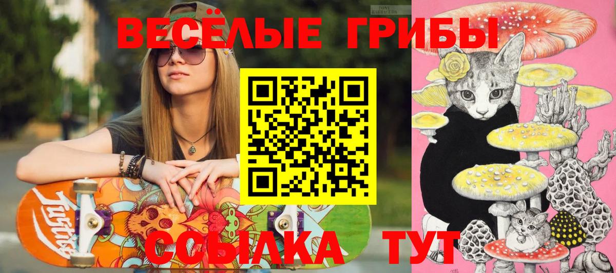 Галлюциногенные грибы MAGIC MUSHROOMS Коркино