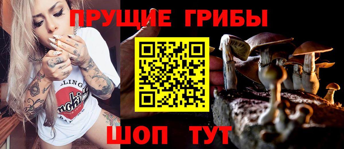 Коркино  Галлюциногенные грибы мицелий  Вход с VPN 