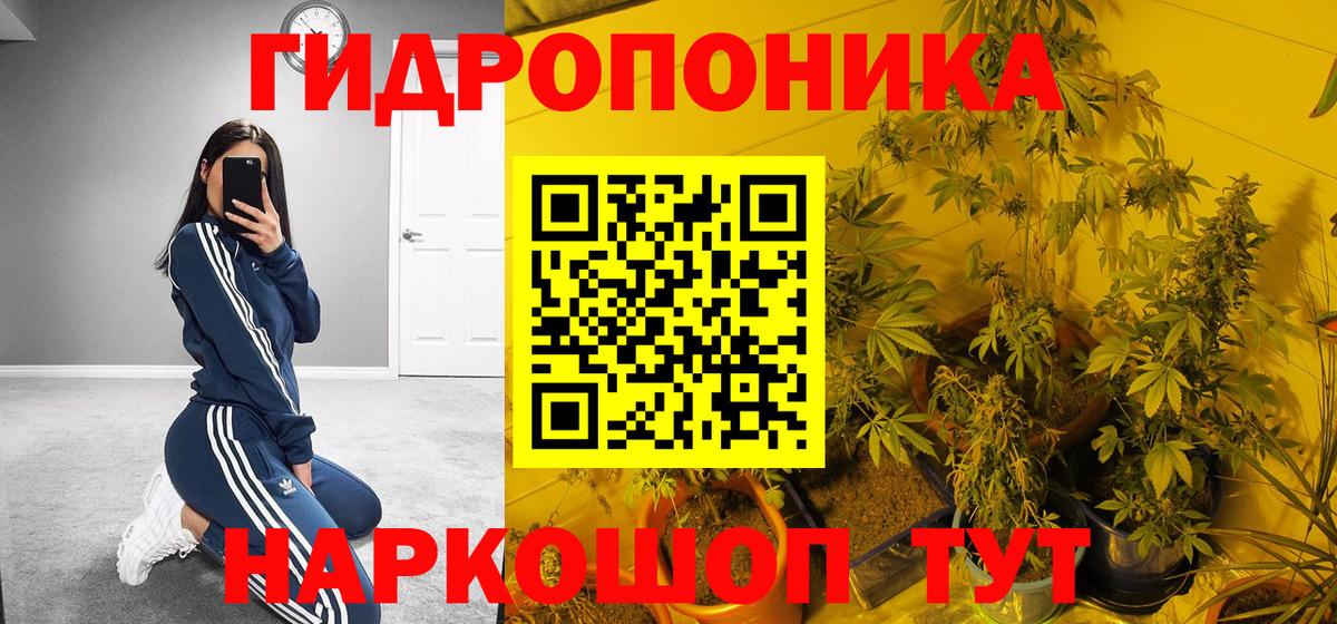 Бошки марихуана конопля  Конопля гибрид  Вход с VPN  Коркино  МАРИХУАНА SATIVA & INDICA  Канабис планчик 